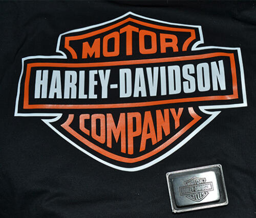 01-raulcastreje-Harley