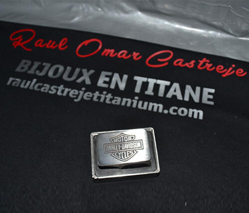 02-raulcastreje-harley