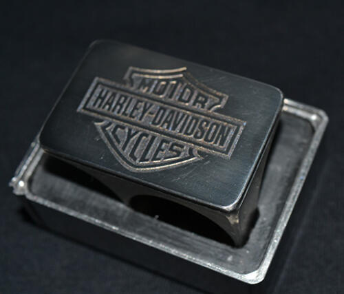 04-raulcastreje-harley