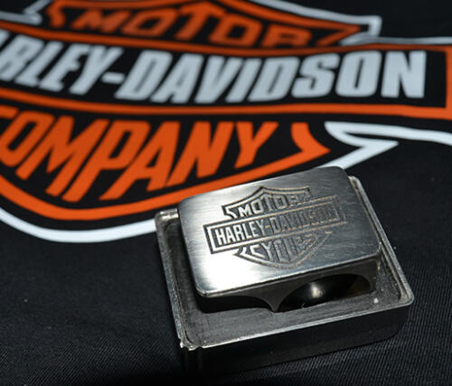 06-raulcastreje-harley