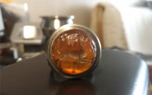 OmarCastrejemontreal-deer-1