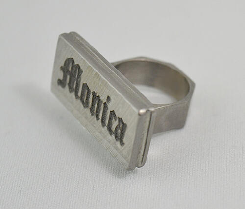 01-raulcastreje-monicaring